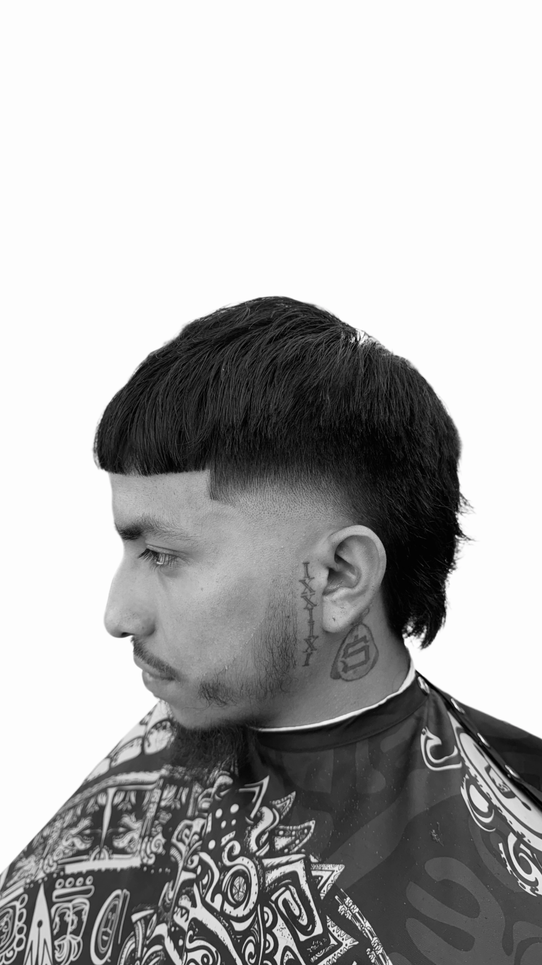 High Taper w/ Modern Mullet